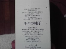プロスノーボーダー　高橋烈男のBLOG-09-06-03_009.jpg