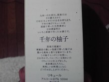 プロスノーボーダー　高橋烈男のBLOG-09-06-03_009.jpg